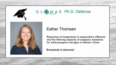 PhD defence of Esther Thomsen