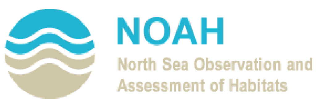 NOAH; www.noah-project.de