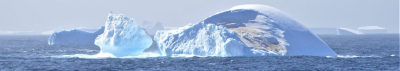 Icebergs in the Scotia Sea