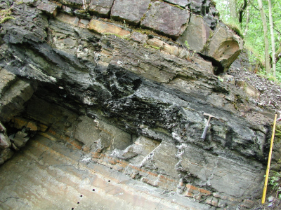 The Lower Alum Black Shale at Drewer