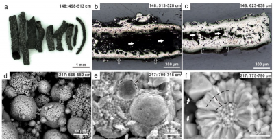Examples of pyrite morphologies sampled from methane seeps in the South China Sea (Lin et al. 2016c).