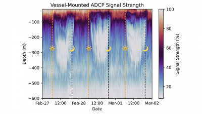 Kurz nach Sonnenaufgang (gelbe gestrichelte Linie) wächst eine große Lücke in unserem Signal in etwa 300 Metern Tiefe und schließt sich kurz nach Sonnenuntergang (schwarze gestrichelte Linie). Gleichzeitig bewegen sich unsere stärksten Signale (alles oberhalb der dunklen Linie) näher an die Oberfläche. Dies ist auf die Bewegung des Planktons zurückzuführen. Grafik: Ryan Mole