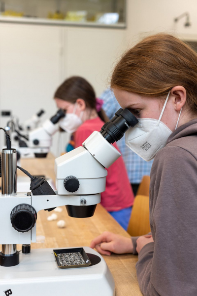 Teilnehmerinnen am Mikroskop. 