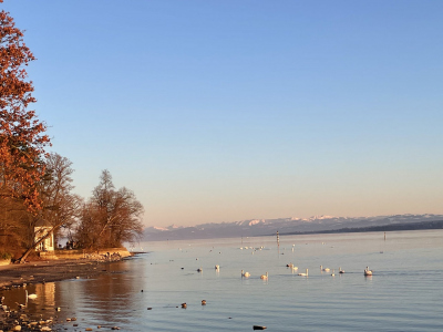Konstanz with Lake and Mounatin