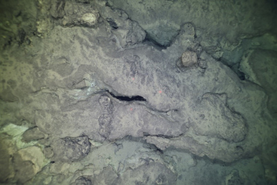 Bilder vom OFOS Tauchgang an Conical zeigen tiefe Spalten im Ozeanboden.