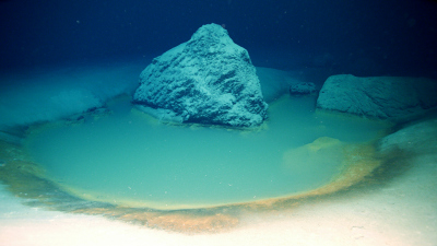 A small brine pond about ten square meters in size at a water depth of 1,800 meters. It is located about 50 meters west of the main basin. Microbial communities have settled at the edge of the basin. Photo: OceanX 