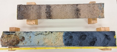 sediment core showing the occurrence of a serpentinite mud flow splitted