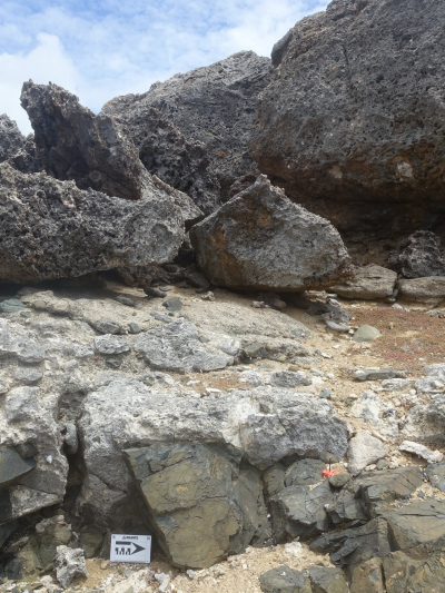 Paleo reef - volcanic basement contact, Curacao