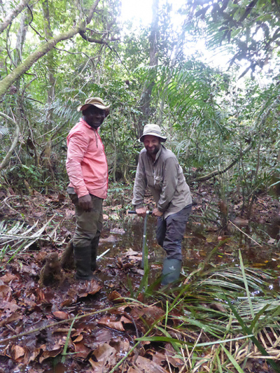 Dr. Gaël Bouka, lecturer biodiversity at Université Marien Ngouabi Brazzaville, and Dr. Yannick Garcin, IRD and lead author of the Nature study, retrieving a peat core in the Cuvette Congolaise during the 2022 expedition. Photo: MARUM – Center for Marine Environmental Sciences, University of Bremen; E. Schefuß