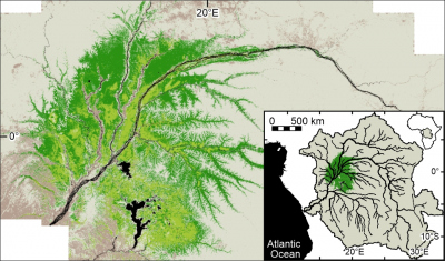 Die Karte der Cuvette zeigt die räumliche Verteilung des von Palmen dominierten Torfsumpfwaldes (hellgrün) und von Hartholz dominiertem Torfsumpfwald (dunkelgrün). Die kleine Karte rechts zeigt die Lage der zentralen Kongo-Torfflächen (grün) sowie, schwarz umrandet, den Umfang des Kongobeckens. Grafik: Yannick Garcin, IRD 