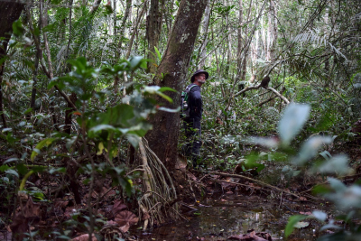 Enno Schefuß (MARUM Bremen) in the tropical swamp forest of the Cuvette Congolaise looking for suitable coring spots. Photo: Yannick Garcin, IRD