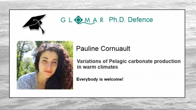 PhD Defence of Pauline Cornuault