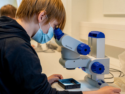 Schüler am Mikroskopieren. Foto: MARUM / V. Diekamp