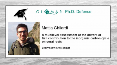 Announcement PhD Defence of Mattia Ghilardi