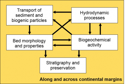 Geomorphological loop adapted to my research
