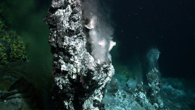 Hydrothermalquellen in 860 Meter Wassertiefe im Menez Gwen Hydrothermalfeld südwestlich der Azoren. Foto: MARUM − Zentrum für Marine Umweltwissenschaften; Universität Bremen