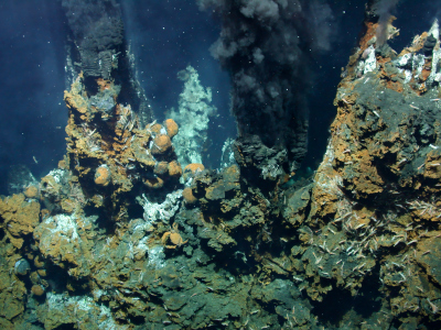 Schwarze Raucher am Tonga-Inselbogen im südwestlichen Pazifik in 1.150 Meter Wassertiefe. Foto: MARUM − Zen­trum für Ma­ri­ne Um­welt­wis­sen­schaf­ten; Uni­ver­si­tät Bre­men