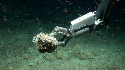 As part of its research, MARUM deploys submersible vehicles to take samples of the ocean floor. This is the MARUM-QUEST diving in the Atlantic. Photo: MARUM – Center for Marine Environmental Research, University of Bremen.