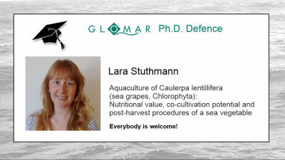 Invitation to Lara's PhD defence