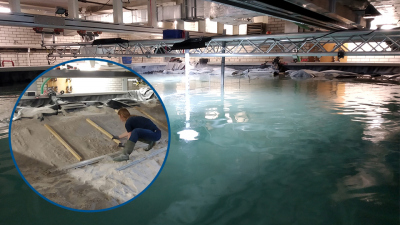In the 6x11 meter flume tank, an artificial continental slope was recreated by hand. The circular photo shows first author Henriette Wilckens forming the slope from sediment. The water-filled tank can be seen in the background. Photo montage: MARUM – Center for Marine Environmental Sciences, University of Bremen, E. Miramontes 