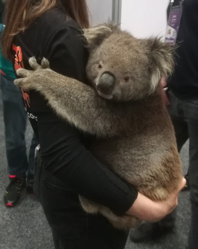 Christin with a Koala on her arms.