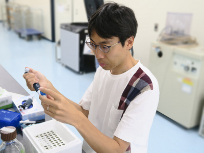 Dr. Yosuke Hoshino conducting biological analyses related to the study. Photo: private