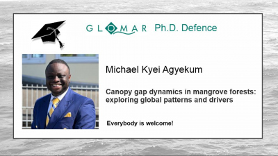PhD Defence of Michael Kyei Agyekum