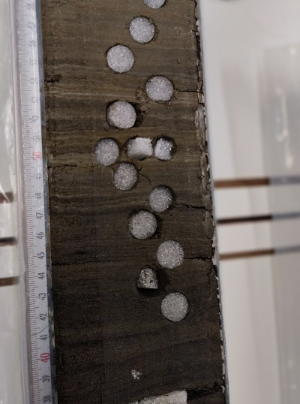 A drillcore with laminated lake sediments employed for organic geochemical analyses.