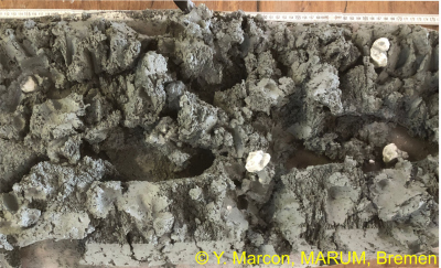 Isolated gas hydrate pieces in mud breccia matrix from Bonjardim MV
