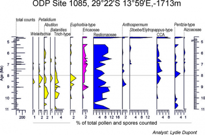 Selected pollen percentage curves from Miocene sediments of ODP Site 1085 (eastern South Atlantic offshore South Africa)