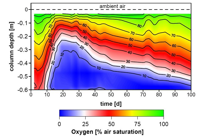 Pyrite oxidation front burning down into an aerated sediment as expressed in the oxygen concentrations over time and depth