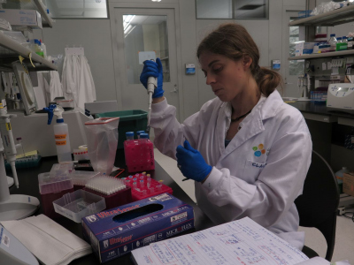 Claudia extracting DNA from coral tissue-associated bacterial communities at the Red Sea Research Center in KAUST