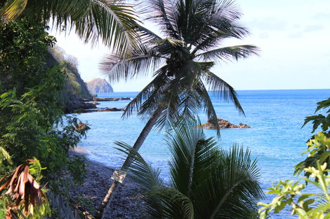 Champagne Reef in Dominica Island (April 2013)