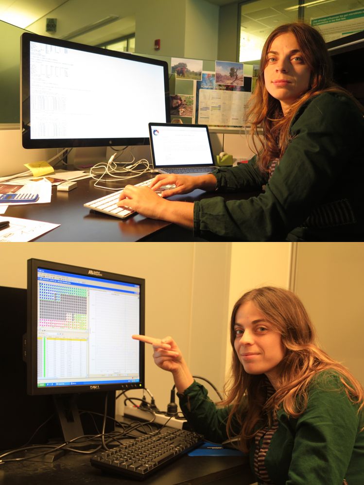 It is not easy to photographically document my last research stay at KAUST.  While I learned a lot about many different applications, all of them involved a lot of sessions in front of a computer screen. Top: working hard to get a grip at mother to analyze sequence data. Bottom:  checking the results of the last qPCR run