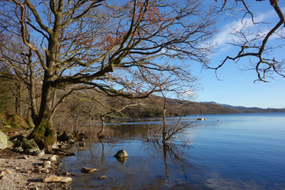 On the shore of Loch Lomond and The Trossachs National Park
