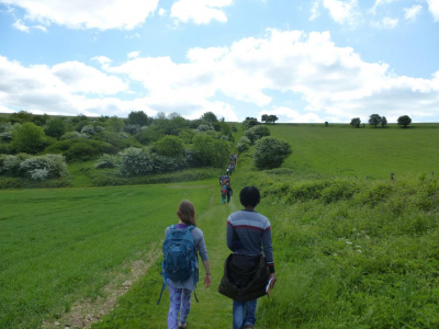 "Walkshop" through the English country side