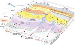 3-D Morpho-sedimentary map Mar del Plata Canyon