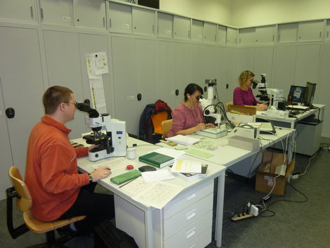 IODP Exp. 313 micropaleontogists in the MARUM lab.