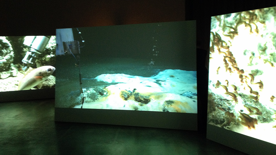 Auf insgesamt vier Bildschirmen setzt Armin Linke Unterwasseraufnahmen miteinander in Szene. Foto: MARUM - Zentrum für Marine Umweltwissenschaften, Universität Bremen